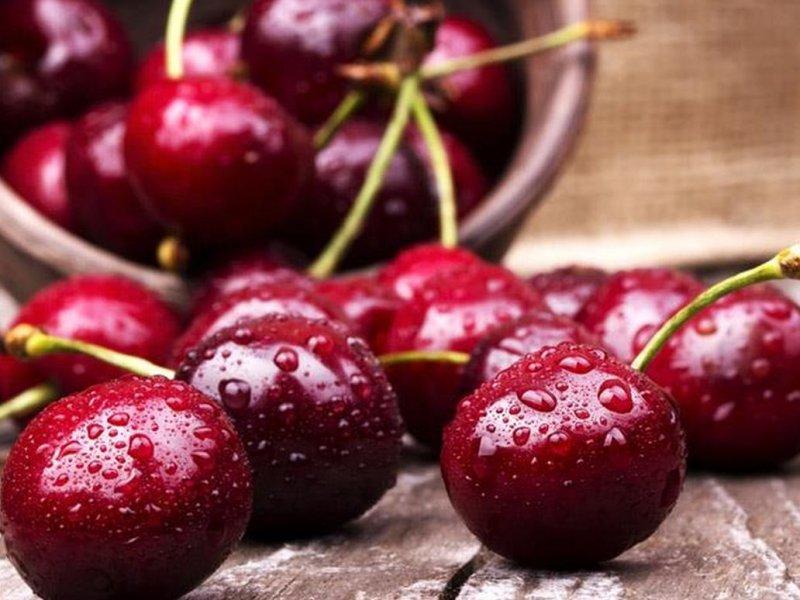 Вишня купить саженцы из питомника в Мурманске